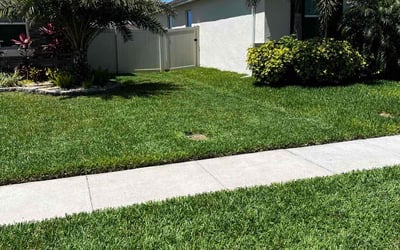 Photo of Joel O.'s yard after getting lawn care in Saint Cloud, FL