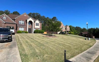 Photo of Michael H.'s yard after getting lawn care in Stockbridge, GA
