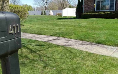 Photo of James W.'s yard after getting lawn care in Mason, MI