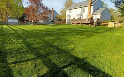 Photo of TANYA R.'s yard after getting lawn care in Damascus, MD