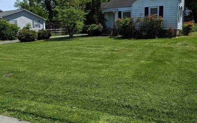 Photo of Nakeita S.'s yard after getting lawn care in Maryville, TN