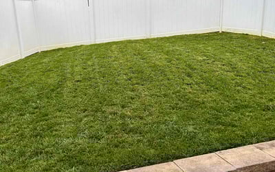 Photo of Eric E.'s yard after getting lawn care in Mount Pleasant, NC