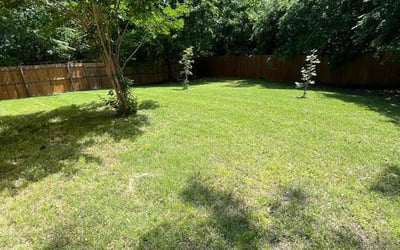 Photo of James D.'s yard after getting lawn care in San Tan Valley, AZ