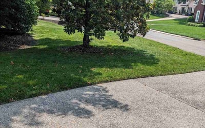 Photo of Sherri H.'s yard after getting lawn care in Corryton, TN