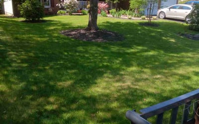 Photo of Jon S.'s yard after getting lawn care in Montgomery Village, MD