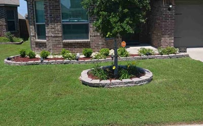 Photo of Destiny M.'s yard after getting lawn care in Sulphur, LA