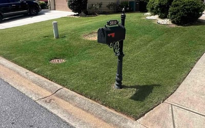 Photo of Janet D.'s yard after getting lawn care in Cumming, GA