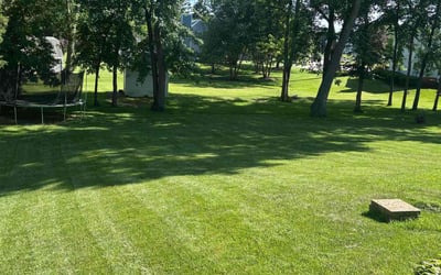 Photo of John D.'s yard after getting lawn care in Arlington, TN