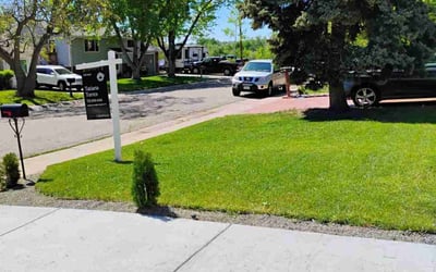 Photo of Amy W.'s yard after getting lawn care in Evans, GA
