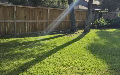 Photo of Mitzi S.'s yard after getting lawn care in Saratoga Springs, NY