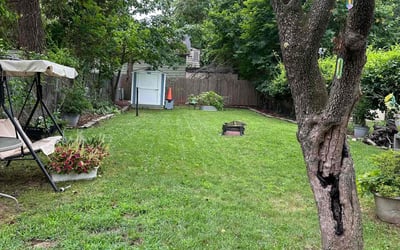 Photo of Jill D.'s yard after getting lawn care in Bay Shore, NY