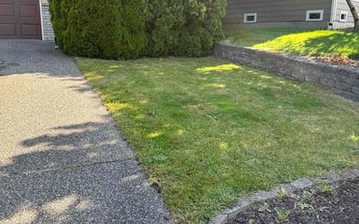 Photo of Christina T.'s yard after getting lawn care in Arlington, WA