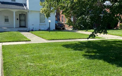 Photo of francisco b.'s yard after getting lawn care in Detroit, MI