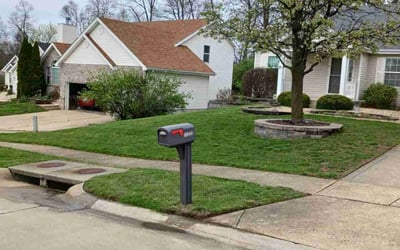 Photo of Carey T.'s yard after getting lawn care in Bellefontaine Neighbors, MO