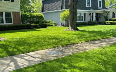 Photo of Alicia S.'s yard after getting lawn care in Northbrook, IL