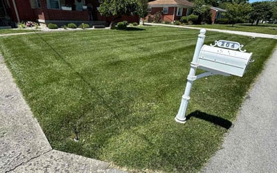 Photo of Kyle B.'s yard after getting lawn care in Elizabethtown, KY