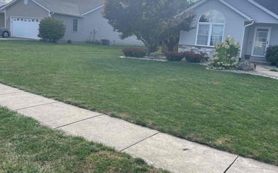 Photo of Nakesha S.'s yard after getting lawn care in Springfield, IL