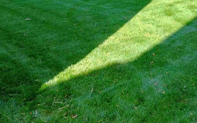 Photo of Keith J.'s yard after getting lawn care in Kennett Square, PA