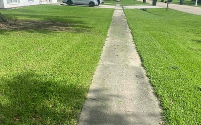 Photo of Steve M.'s yard after getting lawn care in Mentor, OH