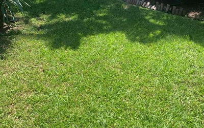 Photo of Ronke O.'s yard after getting lawn care in Pompano Beach, FL