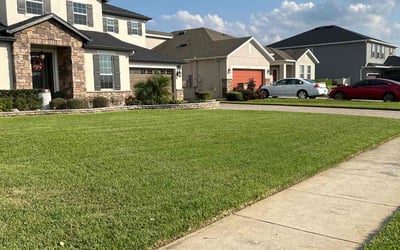 Photo of Maria U.'s yard after getting lawn care in Clermont, FL