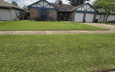 Photo of Rebecca C.'s yard after getting lawn care in Spring, TX