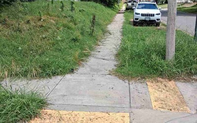 Photo of Sharon B.'s yard after getting lawn care in Anniston, AL