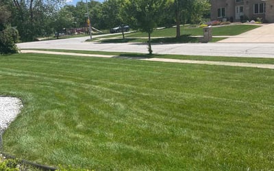 Photo of Adekunmi K.'s yard after getting lawn care in Orland Park, IL