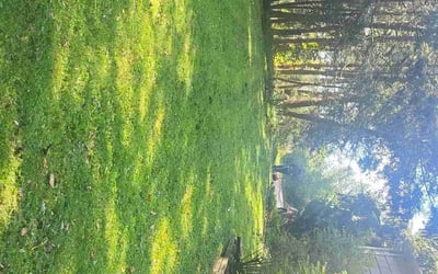 Photo of Adrian R.'s yard after getting lawn care in Southbury, CT