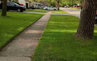 Photo of Pat A.'s yard after getting lawn care in Rockford, MI