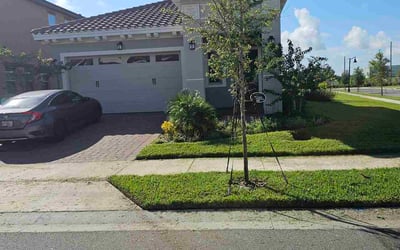Photo of Andrea B.'s yard after getting lawn care in Suffolk, VA