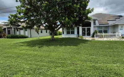 Photo of Monica N.'s yard after getting lawn care in Clinton, MS