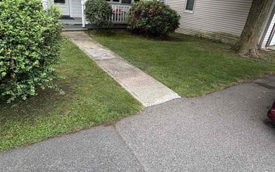 Photo of Frank M.'s yard after getting lawn care in Covington, GA