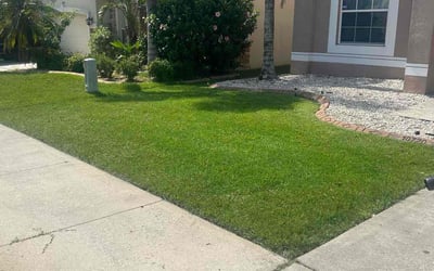 Photo of Fred T.'s yard after getting lawn care in Cape May, NJ