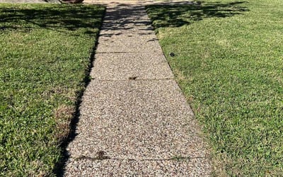 Photo of Steve A.'s yard after getting lawn care in San Clemente, CA