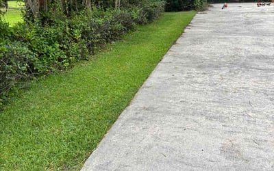 Photo of Linda C.'s yard after getting lawn care in Newport, KY