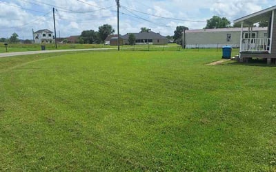 Photo of Janice H.'s yard after getting lawn care in Carrollton, GA