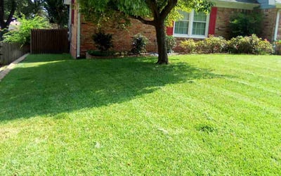 Photo of Charlie W.'s yard after getting lawn care in Tyler, TX
