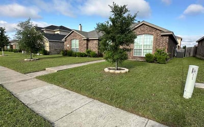 Photo of Lynn S.'s yard after getting lawn care in Crete, IL