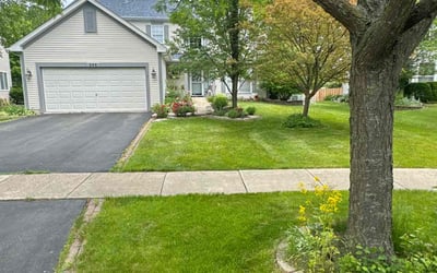 Photo of Jeremy B.'s yard after getting lawn care in Bolingbrook, IL