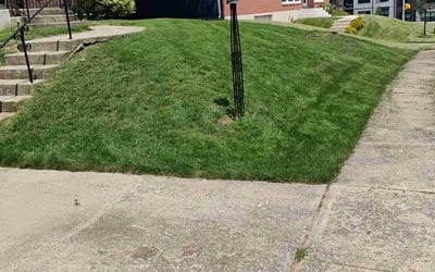 Photo of Martha M.'s yard after getting lawn care in Pell City, AL