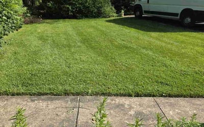 Photo of Julie W.'s yard after getting lawn care in Rockwood, TN