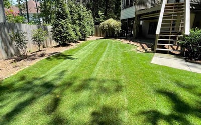 Photo of Leigh B.'s yard after getting lawn care in Cumming, GA