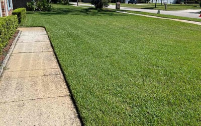 Photo of Nicholas W.'s yard after getting lawn care in Vidor, TX