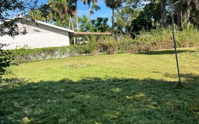 Photo of Ruth S.'s yard after getting lawn care in Ooltewah, TN