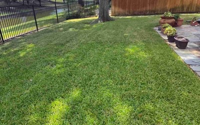 Photo of Michael M.'s yard after getting lawn care in Irving, TX