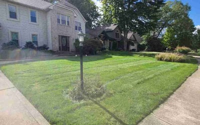 Photo of Susan D.'s yard after getting lawn care in Strongsville, OH