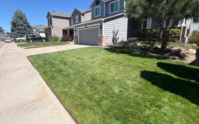 Photo of John N.'s yard after getting lawn care in Littleton, CO