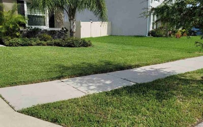 Photo of Kendra C.'s yard after getting lawn care in Clinton, MD