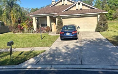 Photo of Michael B.'s yard after getting lawn care in Burlington, VT